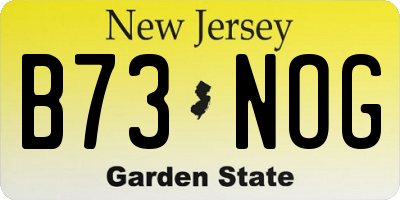 NJ license plate B73NOG