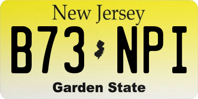 NJ license plate B73NPI