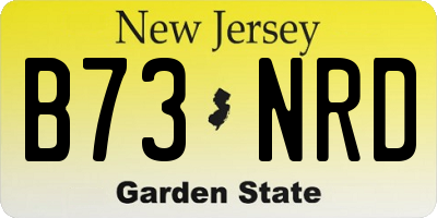 NJ license plate B73NRD