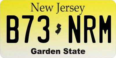 NJ license plate B73NRM