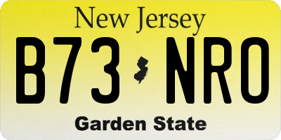 NJ license plate B73NRO
