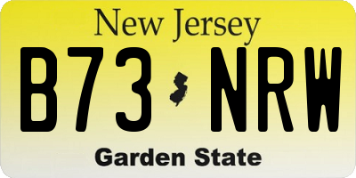NJ license plate B73NRW