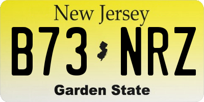 NJ license plate B73NRZ