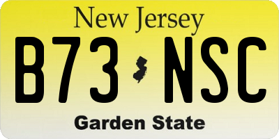NJ license plate B73NSC