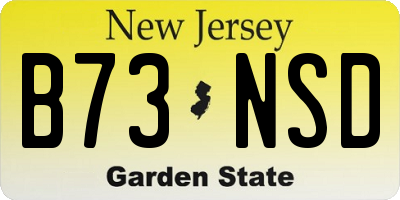 NJ license plate B73NSD