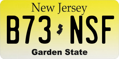 NJ license plate B73NSF