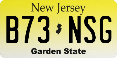 NJ license plate B73NSG