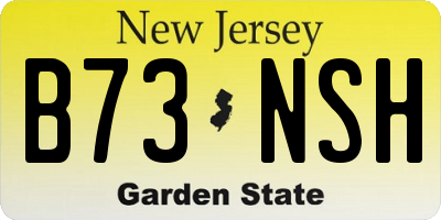 NJ license plate B73NSH