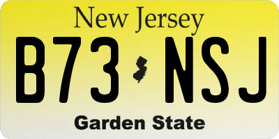 NJ license plate B73NSJ