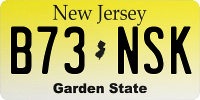 NJ license plate B73NSK