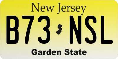 NJ license plate B73NSL