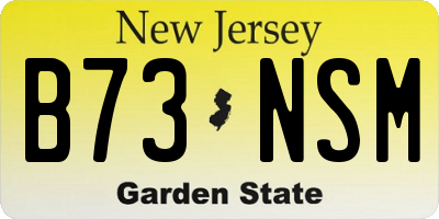 NJ license plate B73NSM