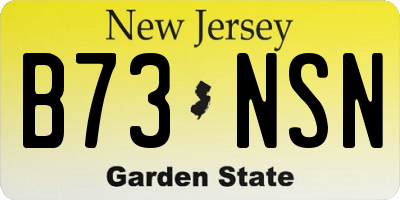 NJ license plate B73NSN