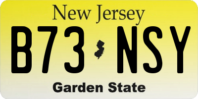 NJ license plate B73NSY