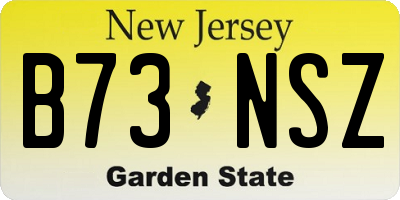 NJ license plate B73NSZ