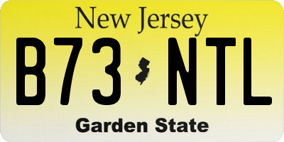 NJ license plate B73NTL