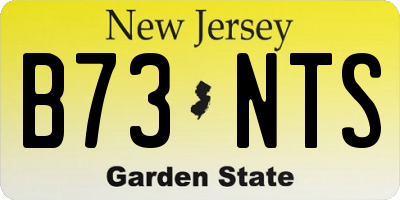 NJ license plate B73NTS