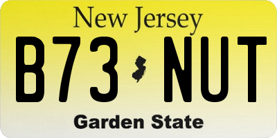 NJ license plate B73NUT
