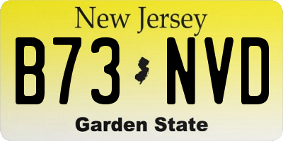 NJ license plate B73NVD