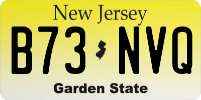 NJ license plate B73NVQ
