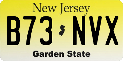 NJ license plate B73NVX