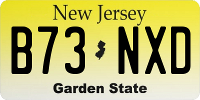 NJ license plate B73NXD