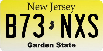 NJ license plate B73NXS