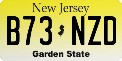 NJ license plate B73NZD