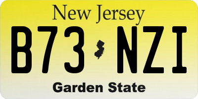 NJ license plate B73NZI