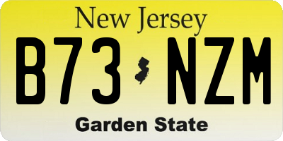 NJ license plate B73NZM