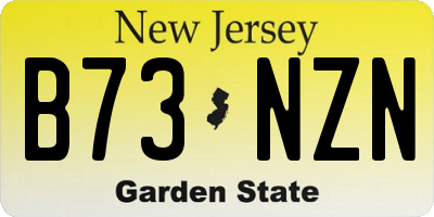NJ license plate B73NZN