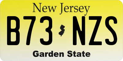 NJ license plate B73NZS