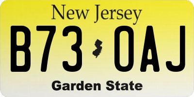 NJ license plate B73OAJ
