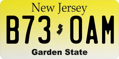 NJ license plate B73OAM