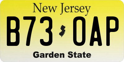 NJ license plate B73OAP