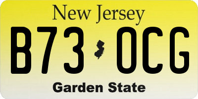 NJ license plate B73OCG