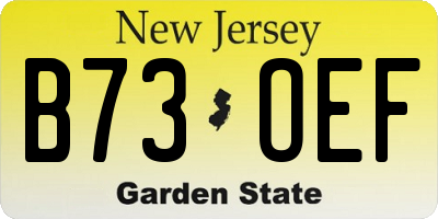 NJ license plate B73OEF