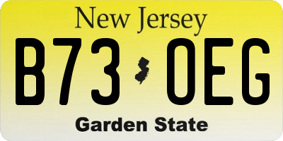 NJ license plate B73OEG