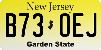 NJ license plate B73OEJ