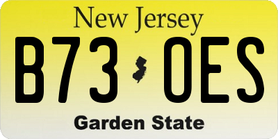 NJ license plate B73OES