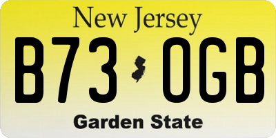 NJ license plate B73OGB
