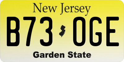 NJ license plate B73OGE
