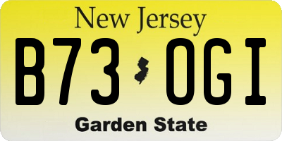 NJ license plate B73OGI