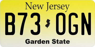 NJ license plate B73OGN
