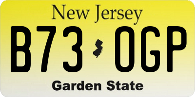 NJ license plate B73OGP