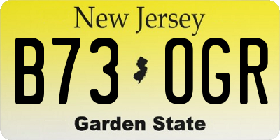 NJ license plate B73OGR