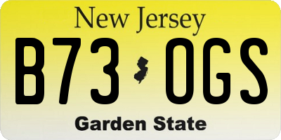 NJ license plate B73OGS