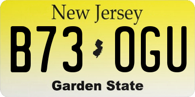 NJ license plate B73OGU