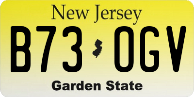 NJ license plate B73OGV