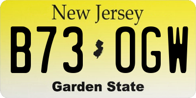 NJ license plate B73OGW